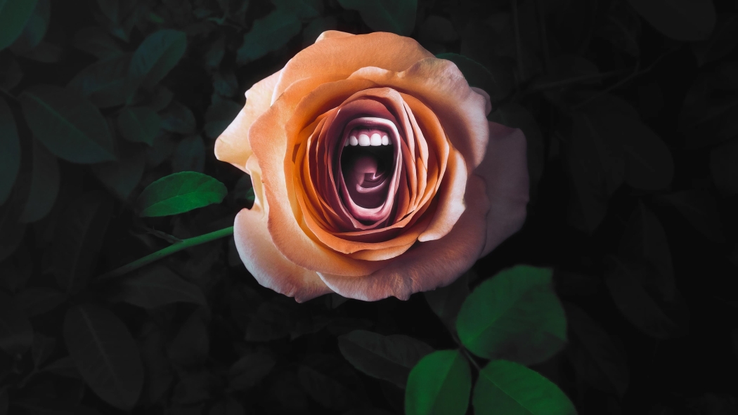 Roar 1. Sezon 6. Bölüm izle